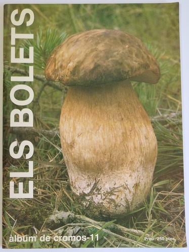 Els bolets funghi - bolets,