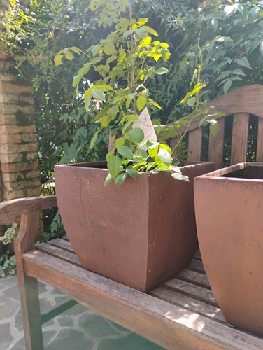 Coppia grandi vasi metallo - coppia,