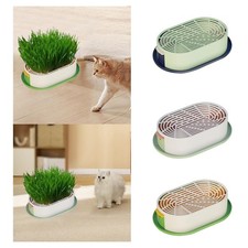 Fioriera per erba gatta con