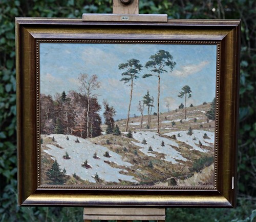 Paesaggio invernale con alberi - invernale,