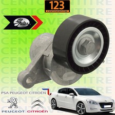 TENDICINGHIA SERVIZI TENDITORE