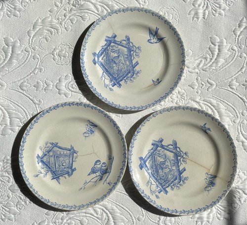 Assiettes dessert terre - assiettes,