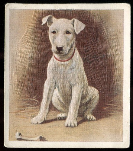Tobacco card godfrey - tobacco,