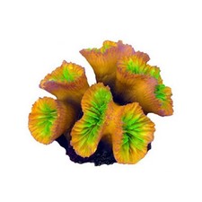 AQL Decorazione Corallo in