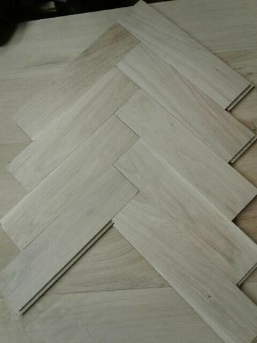 Campioni legno - di,