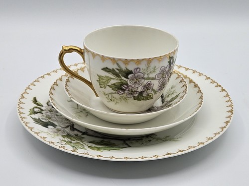 Raro set pranzo tazza - pranzo/tazza, da