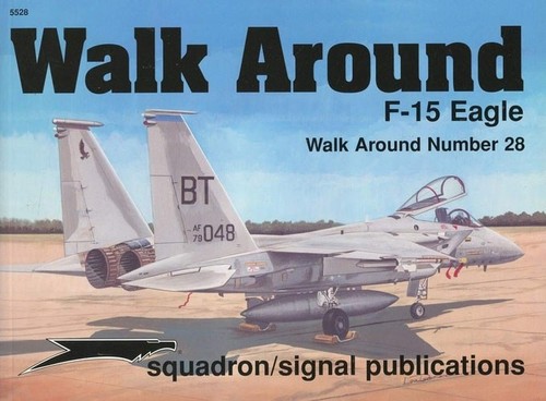 Eagle walk around - eagle, no