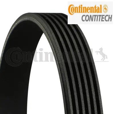 Cinghia adatta per bmw 3 - v, per: