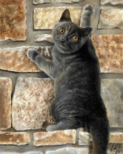 ❈ Dipinto ORIGINALE ritratto