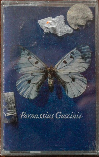 Francesco guccini parnassius - francesco,