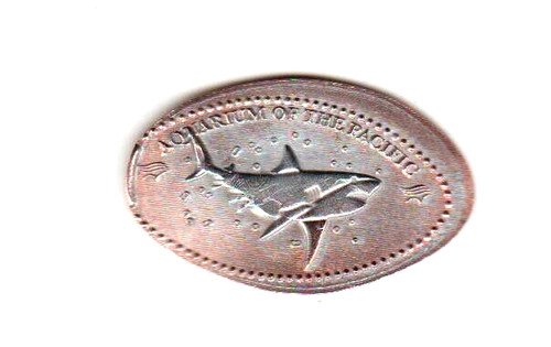Penny allungato acquario del - allungato,