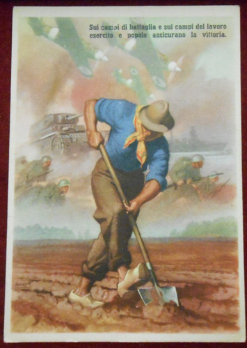 Cartolina boccasile militare - cartolina,