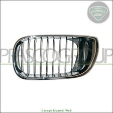 BM0202014 Griglia radiatore