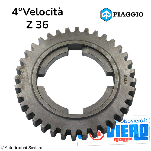 Ingranaggio velocità z - 4°, 36