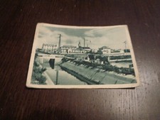 CARTOLINA "MUSSOLINIA LE