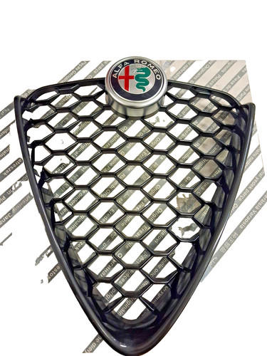 Scudo griglia radiatore - griglia,