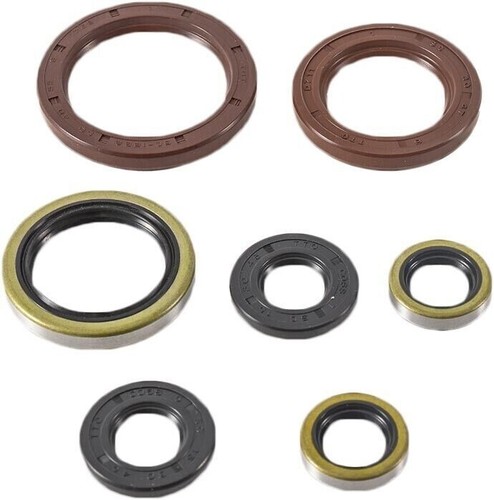 Kit guarnizioni olio motore