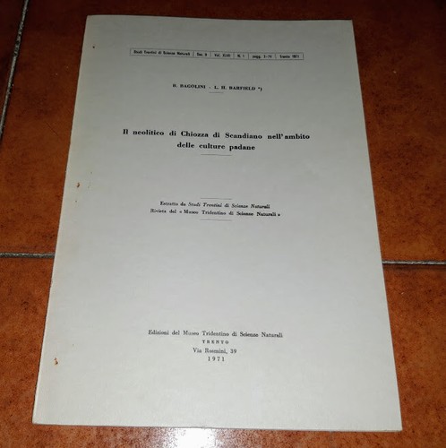 Bagolini barfield neolitico - il,