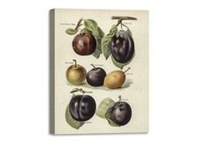 Quadro stampa su tela con