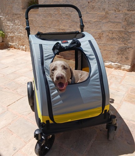 Trolley per cani pieghevole - trolley,