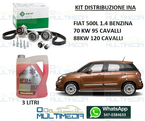 Kit distribuzione ina - ina, pompa