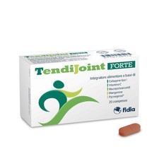 Fidia Farmaceutici TendiJoint