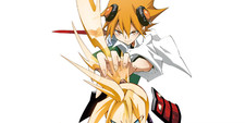 Shaman king flowers - vari