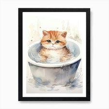 Gatto esotico a pelo corto in