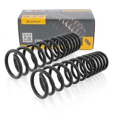 Coppia molle ammortizzatori - molle,