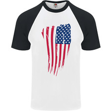 Bandiera Stars & Stripes Degli