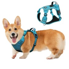 Imbracatura per Cani, Gilet Regolabile a Prova di Fuga Aggiornato Cucciolo Passeggio Esterno, Sof...