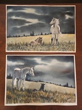 2~Acquerello Originale Cavallo