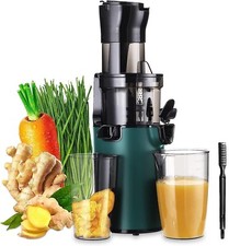 Elettrico Spremiagrumi Slow Juicer Cold Press Succo Fresco Squeezer Vegetables