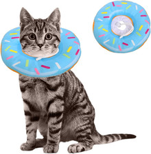 Collare Elisabettiano Gatto