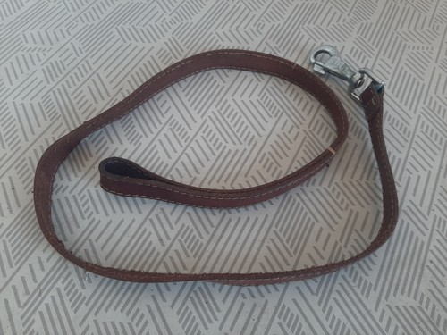 Guinzaglio per cani - guinzaglio,