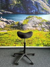 Varier Move seduta-alza