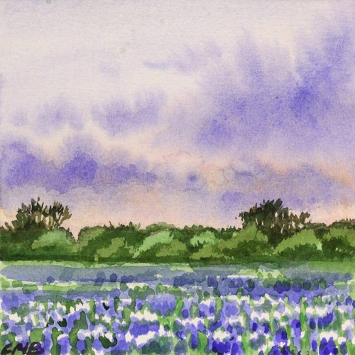 Paesaggio texas dipinto - texas,