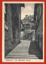 PALESTRINA ROMA, VIA LEONARDO CECCONI, MAX '50        m