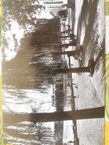 Cartolina antica sesto - antica,