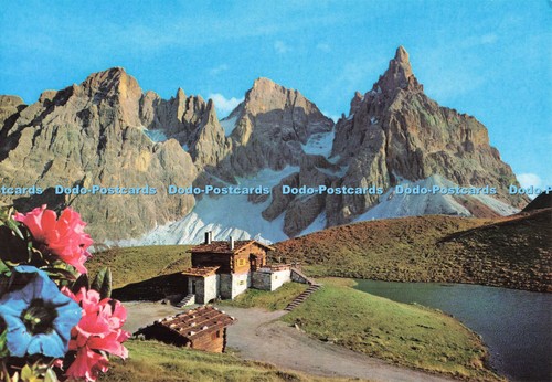 D249290 dolomiti passo - dolomiti, rolle