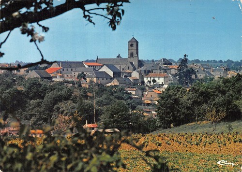 Argenton chateau - 79-argenton, chateau-n�