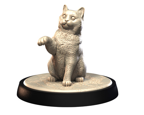 British shorthair pose - british,