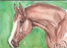 ACEO original Watercolor Art