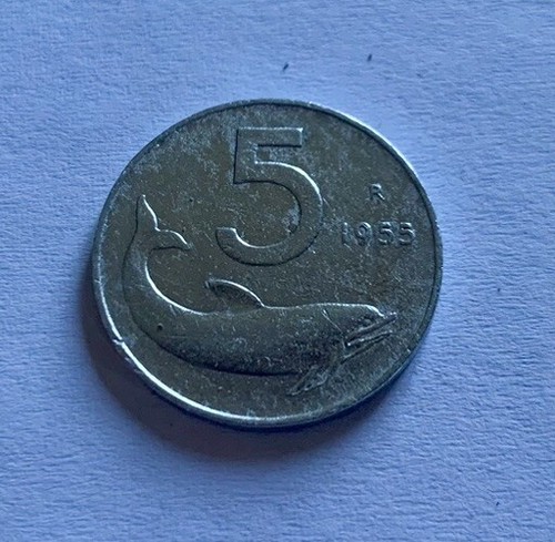 Moneta 5 lire 1955 - moneta,