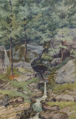 Waldquelle presso golling - waldquelle,
