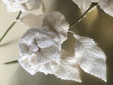 per 20 pezzi fiore beige