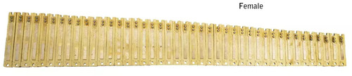 Professional harmonium sur - professional,