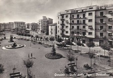 GROSSETO: Viale della Pace - particolare    1959