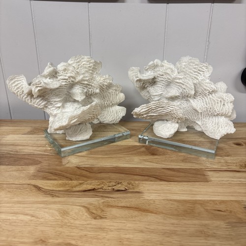 Fermalibri sculture finto