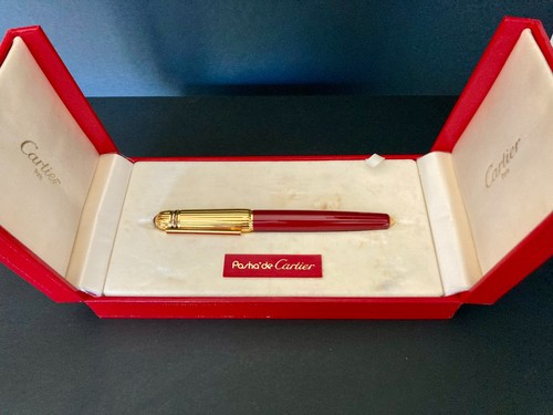 Penna stilografica pasha - penna,